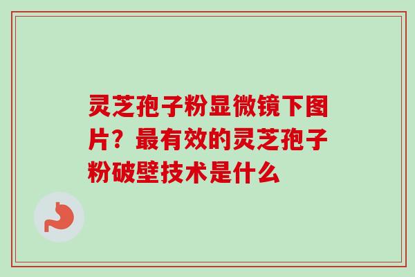 灵芝孢子粉显微镜下图片？最有效的灵芝孢子粉破壁技术是什么