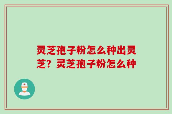 灵芝孢子粉怎么种出灵芝？灵芝孢子粉怎么种