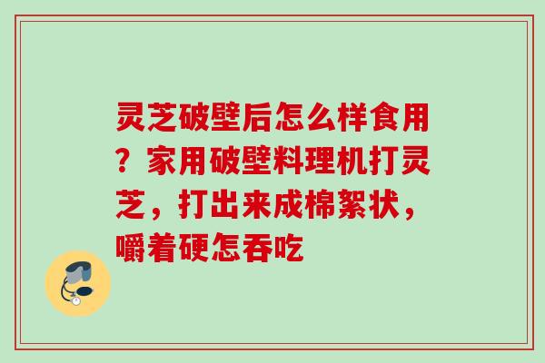灵芝破壁后怎么样食用？家用破壁料理机打灵芝，打出来成棉絮状，嚼着硬怎吞吃