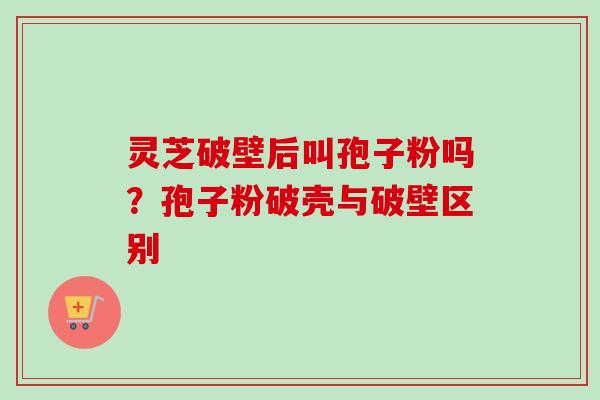 灵芝破壁后叫孢子粉吗？孢子粉破壳与破壁区别