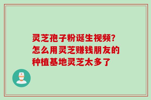 灵芝孢子粉诞生视频？怎么用灵芝赚钱朋友的种植基地灵芝太多了