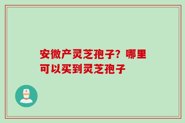 安微产灵芝孢子？哪里可以买到灵芝孢子