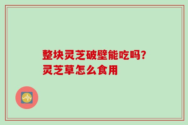 整块灵芝破壁能吃吗？灵芝草怎么食用