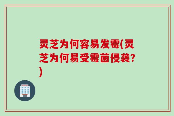 灵芝为何容易发霉(灵芝为何易受霉菌侵袭？)