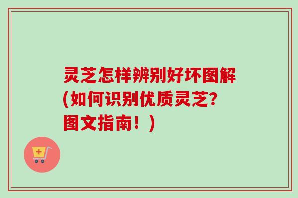 灵芝怎样辨别好坏图解(如何识别优质灵芝？图文指南！)