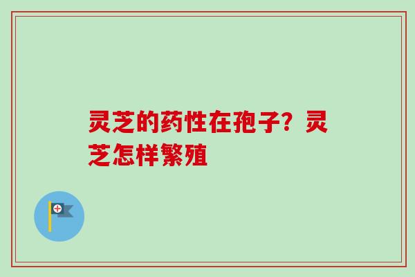 灵芝的药性在孢子？灵芝怎样繁殖