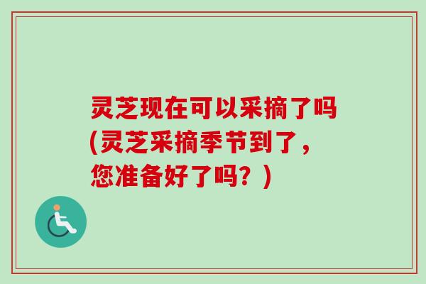 灵芝现在可以采摘了吗(灵芝采摘季节到了，您准备好了吗？)