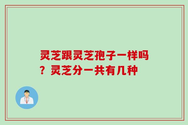 灵芝跟灵芝孢子一样吗？灵芝分一共有几种
