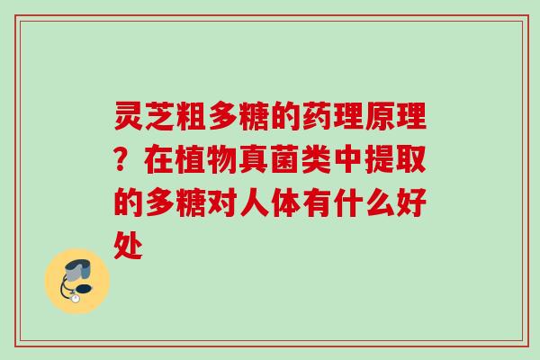 灵芝粗多糖的药理原理？在植物真菌类中提取的多糖对人体有什么好处