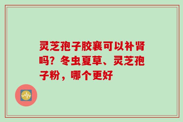 灵芝孢子胶襄可以补肾吗？冬虫夏草、灵芝孢子粉，哪个更好