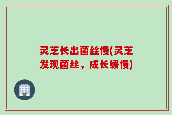 灵芝长出菌丝慢(灵芝发现菌丝，成长缓慢)