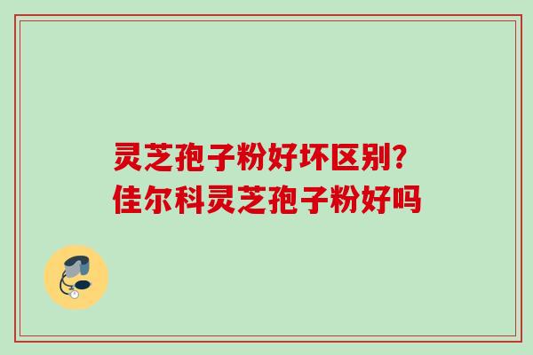 灵芝孢子粉好坏区别？佳尔科灵芝孢子粉好吗