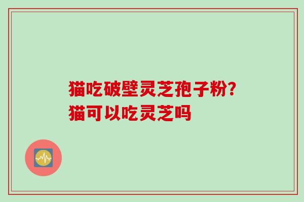 猫吃破壁灵芝孢子粉？猫可以吃灵芝吗