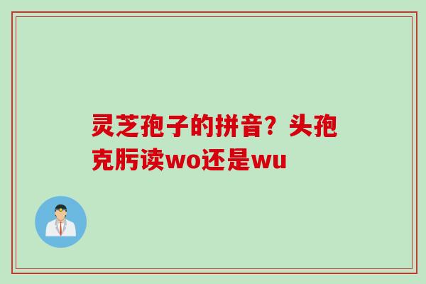 灵芝孢子的拼音？头孢克肟读wo还是wu