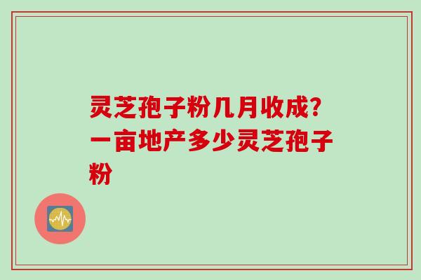 灵芝孢子粉几月收成？一亩地产多少灵芝孢子粉