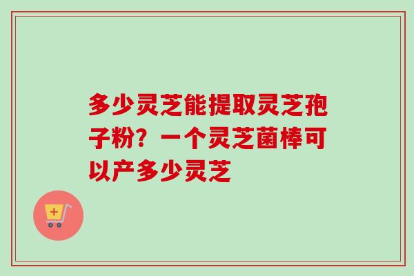 多少灵芝能提取灵芝孢子粉？一个灵芝菌棒可以产多少灵芝