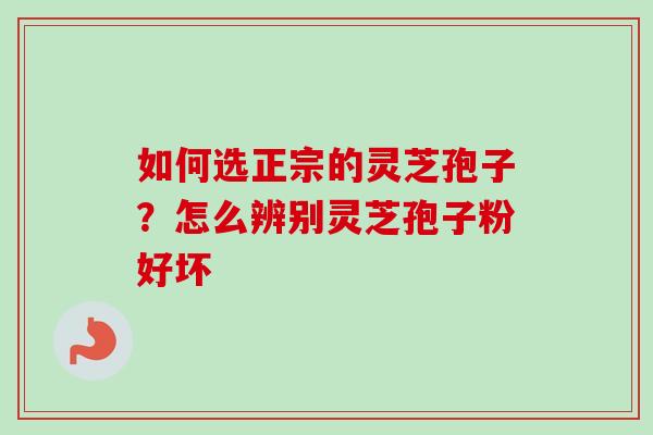 如何选正宗的灵芝孢子？怎么辨别灵芝孢子粉好坏