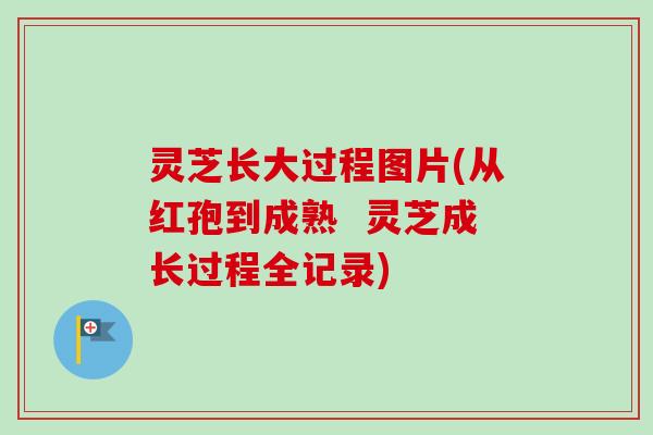 灵芝长大过程图片(从红孢到成熟  灵芝成长过程全记录)