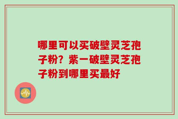 哪里可以买破壁灵芝孢子粉？紫一破壁灵芝孢子粉到哪里买最好