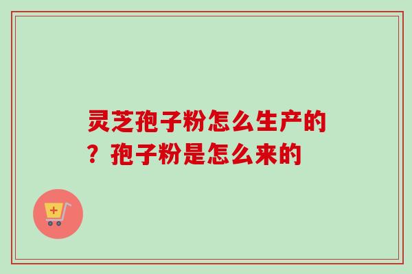 灵芝孢子粉怎么生产的？孢子粉是怎么来的