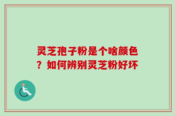 灵芝孢子粉是个啥颜色？如何辨别灵芝粉好坏