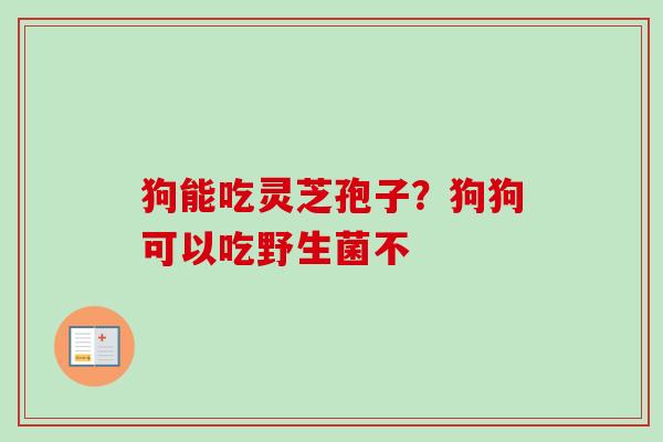 狗能吃灵芝孢子？狗狗可以吃野生菌不