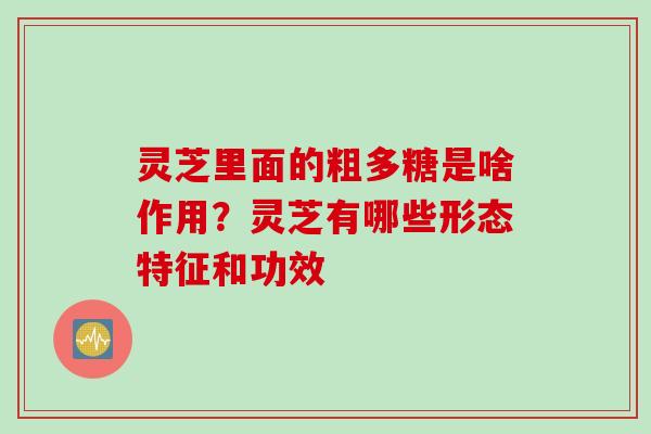 灵芝里面的粗多糖是啥作用？灵芝有哪些形态特征和功效