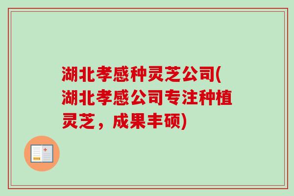 湖北孝感种灵芝公司(湖北孝感公司专注种植灵芝，成果丰硕)