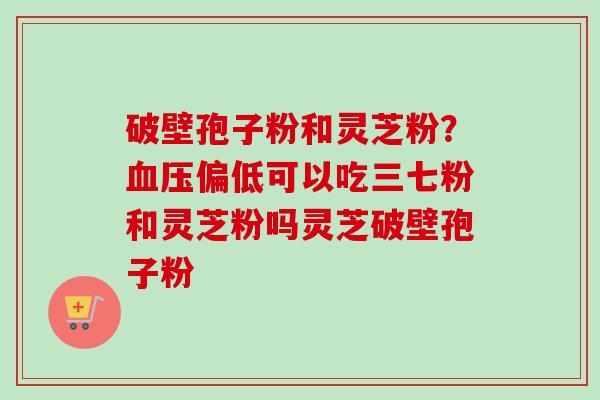 破壁孢子粉和灵芝粉？血压偏低可以吃三七粉和灵芝粉吗灵芝破壁孢子粉