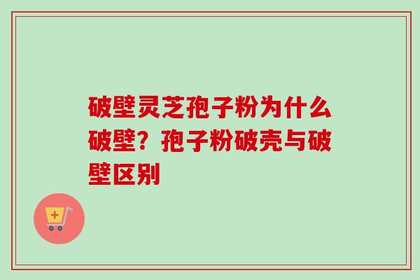 破壁灵芝孢子粉为什么破壁？孢子粉破壳与破壁区别