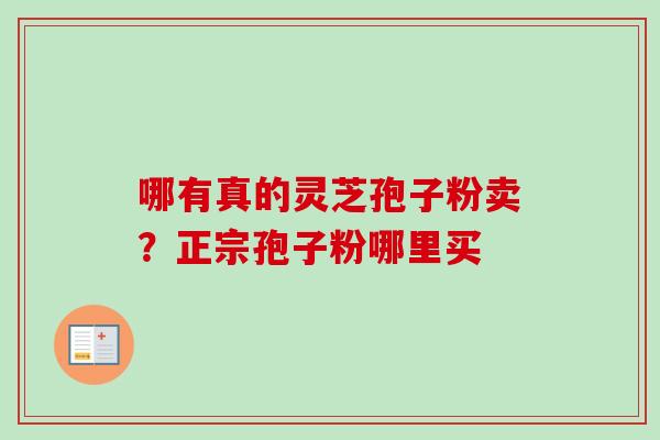 哪有真的灵芝孢子粉卖？正宗孢子粉哪里买