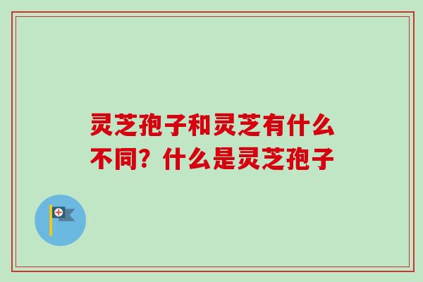 灵芝孢子和灵芝有什么不同？什么是灵芝孢子