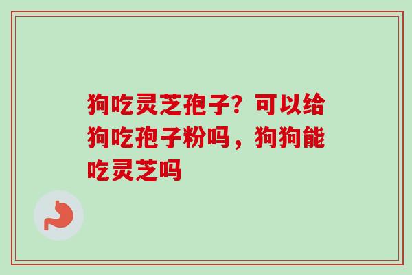狗吃灵芝孢子？可以给狗吃孢子粉吗，狗狗能吃灵芝吗