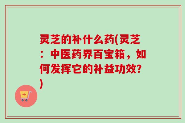 灵芝的补什么药(灵芝：中医药界百宝箱，如何发挥它的补益功效？)
