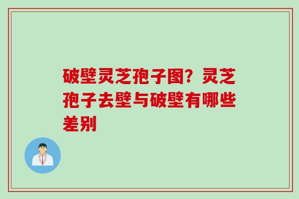 破壁灵芝孢子图？灵芝孢子去壁与破壁有哪些差别