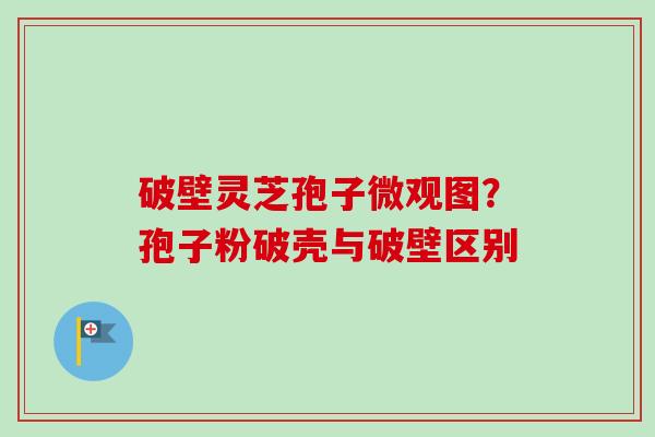 破壁灵芝孢子微观图？孢子粉破壳与破壁区别