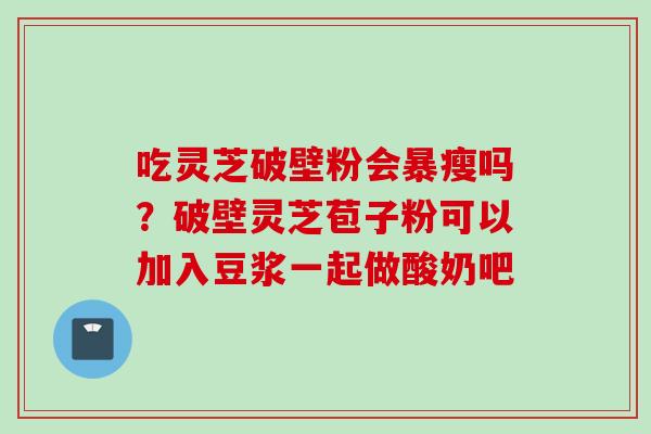 吃灵芝破壁粉会暴瘦吗？破壁灵芝苞子粉可以加入豆浆一起做酸奶吧