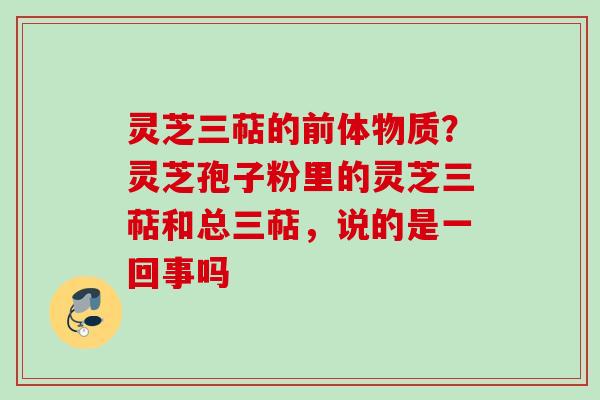 灵芝三萜的前体物质？灵芝孢子粉里的灵芝三萜和总三萜，说的是一回事吗