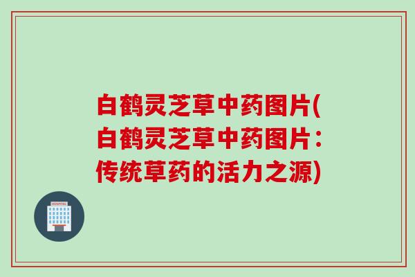 白鹤灵芝草中药图片(白鹤灵芝草中药图片：传统草药的活力之源)
