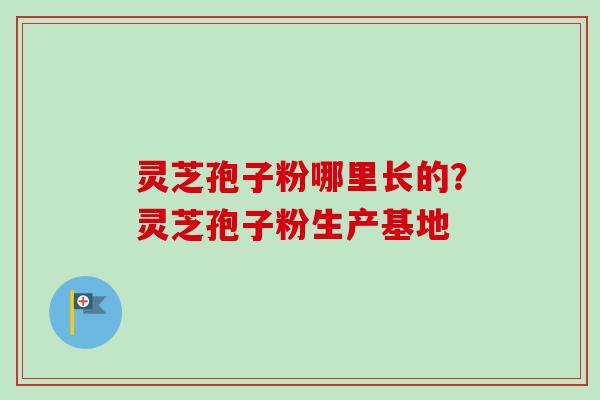 灵芝孢子粉哪里长的？灵芝孢子粉生产基地