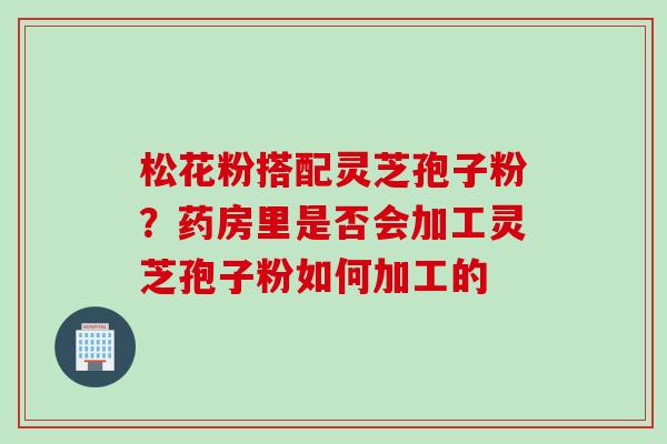 松花粉搭配灵芝孢子粉？药房里是否会加工灵芝孢子粉如何加工的