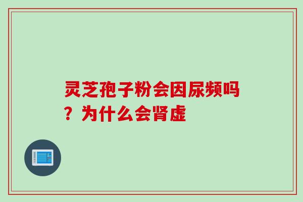 灵芝孢子粉会因尿频吗？为什么会肾虚