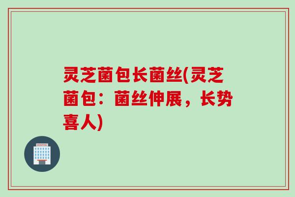 灵芝菌包长菌丝(灵芝菌包：菌丝伸展，长势喜人)