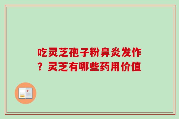 吃灵芝孢子粉鼻炎发作？灵芝有哪些药用价值