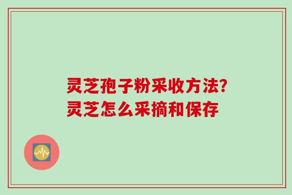 灵芝孢子粉采收方法？灵芝怎么采摘和保存