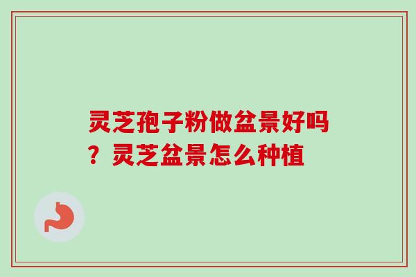 灵芝孢子粉做盆景好吗？灵芝盆景怎么种植