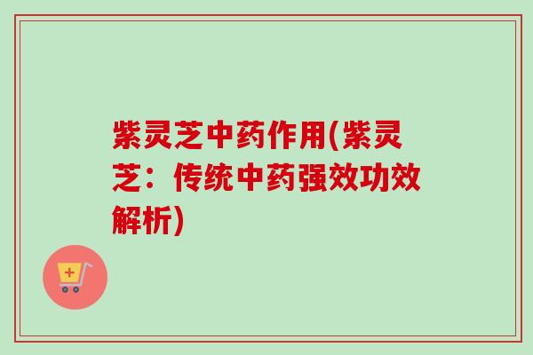 紫灵芝中药作用(紫灵芝：传统中药强效功效解析)