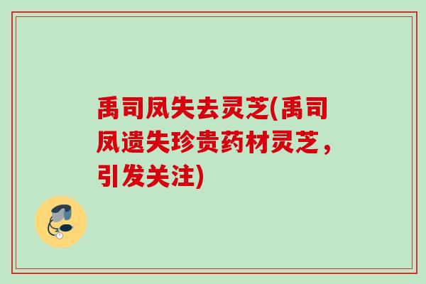 禹司凤失去灵芝(禹司凤遗失珍贵药材灵芝，引发关注)