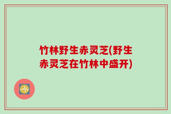 竹林野生赤灵芝(野生赤灵芝在竹林中盛开)