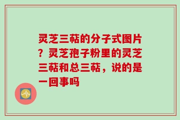 灵芝三萜的分子式图片？灵芝孢子粉里的灵芝三萜和总三萜，说的是一回事吗